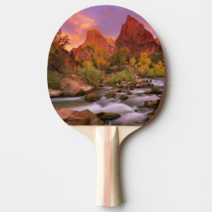 Grand Dawn Ping Pong Paddle