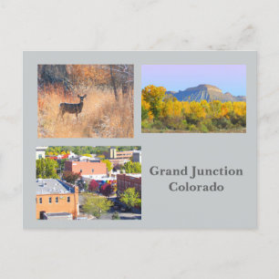 Grand Junction, Colorado Template Travel Postcard
