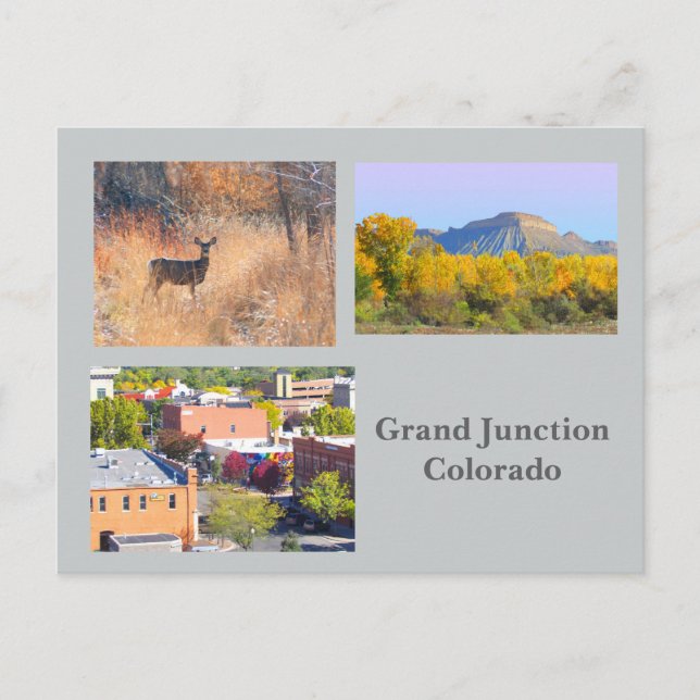 Grand Junction, Colorado Template Travel Postcard (Front)
