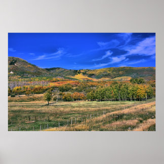 Grand Mesa, Colorado in Autumn Poster