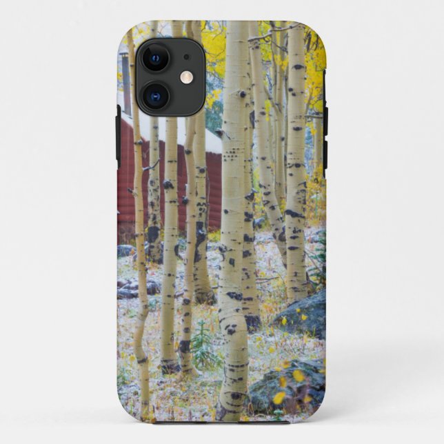 Grand Mesa Solitary cabin in a forest Case-Mate iPhone Case (Back)