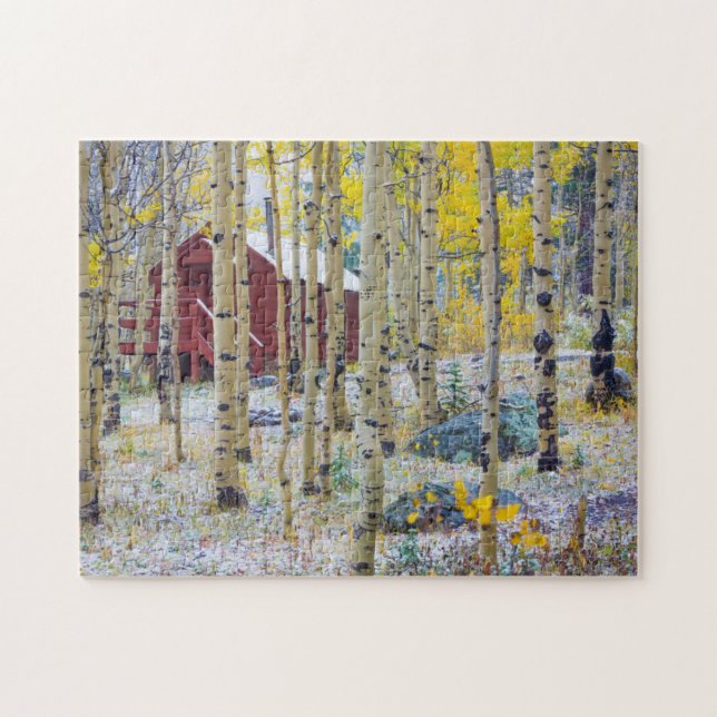 Grand Mesa Solitary cabin in a forest Jigsaw Puzzle (Horizontal)