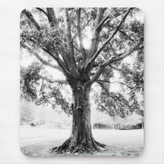 Grand Mouse Mat (Front)