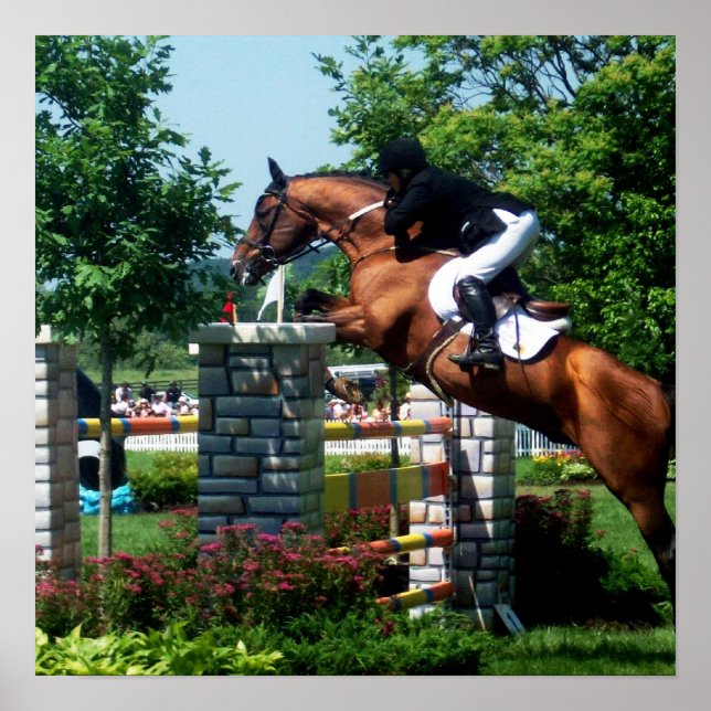 Grand Prix Horse  Poster (Front)