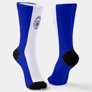 Grand Rapids (Michigan) city flag Socks