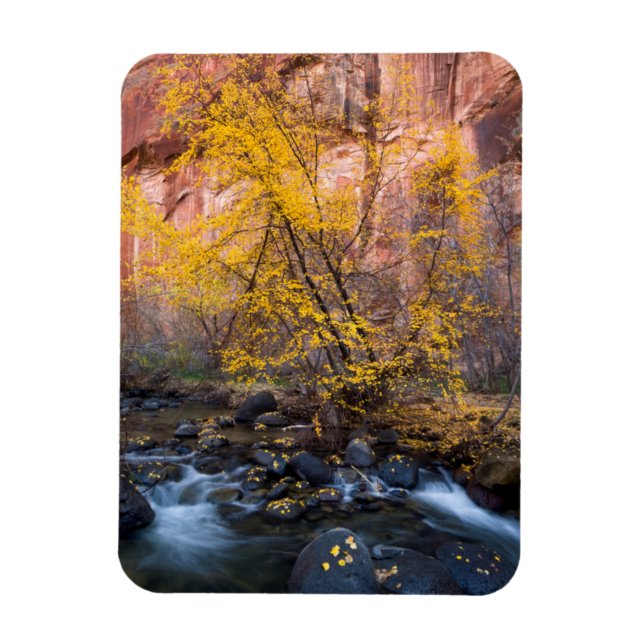 Grand Staircase-Escalante National Monument Magnet (Vertical)