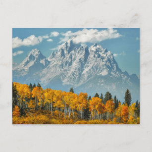Grand Teton Mountains in the Fall Postcard