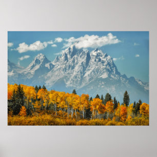Grand Teton Mountains in the Fall Poster