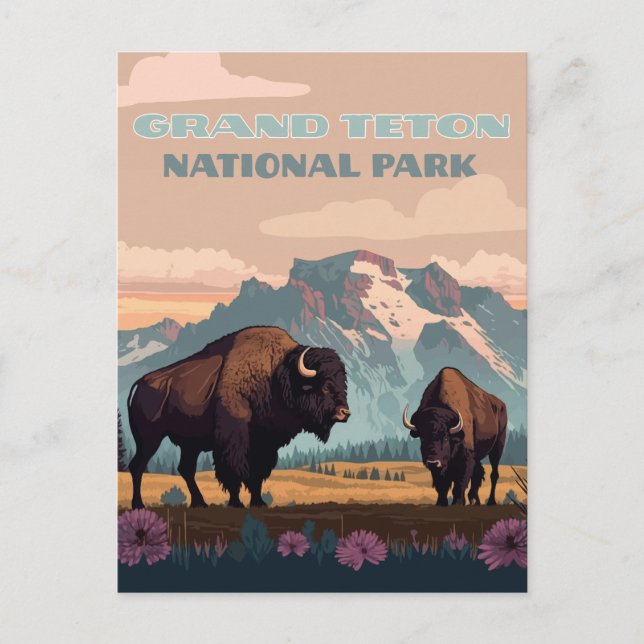 Grand Teton National Park Jackson Wyoming Mountain Postcard (Front)