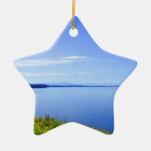 Grand Teton National Park. Landscape photography Ceramic Tree Decoration