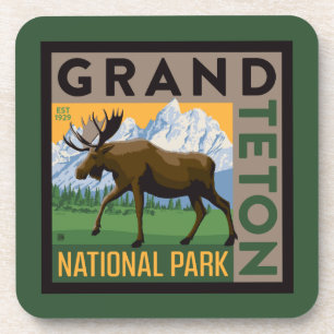 Grand Teton National Park Moose Coaster