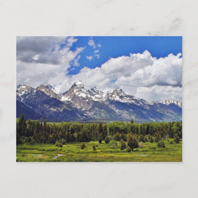 Grand Teton National Park. Postcard (Front)