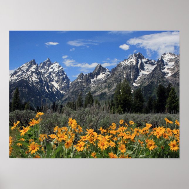 Grand Teton National Park Poster (Front)
