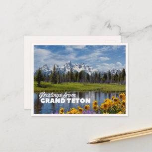 Grand Teton National Park Spring Flower Reflection Postcard