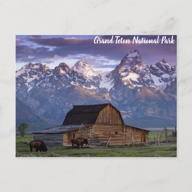 Grand Teton National Park Wyoming Mountains Barn Postcard (Front)