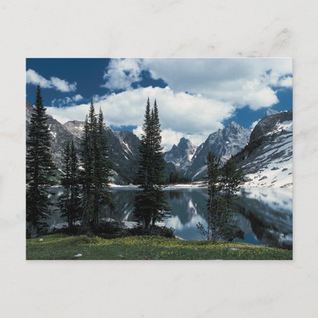 Grand Teton National Park , Wyoming Postcard (Front)