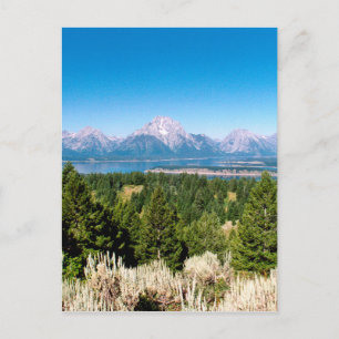 Grand Teton National Park Wyoming Postcard