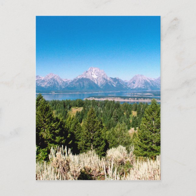 Grand Teton National Park Wyoming Postcard (Front)