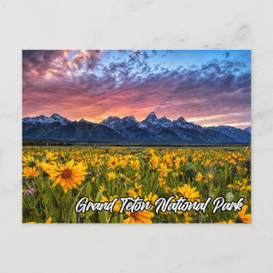 Grand Teton National Park, Wyoming Postcard