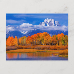 Grand Teton National Park   Wyoming Postcard