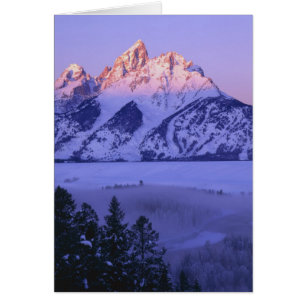 GRAND TETON NATIONAL PARK, WYOMING. USA. Fog &