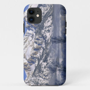 GRAND TETON NATIONAL PARK, WYOMING. USA. Fog & iPhone 11 Case