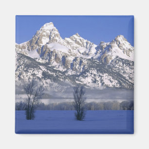 GRAND TETON NATIONAL PARK, WYOMING. USA. Fog & Magnet