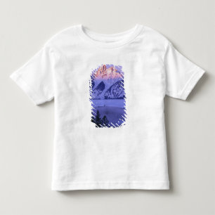 GRAND TETON NATIONAL PARK, WYOMING. USA. Fog & Toddler T-Shirt
