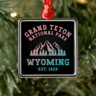 Grand Teton National Park Wyoming USA Gradient Metal Tree Decoration
