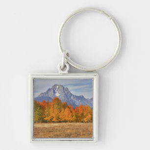 Grand Teton NP, Mount Moran and aspen trees Key Ring