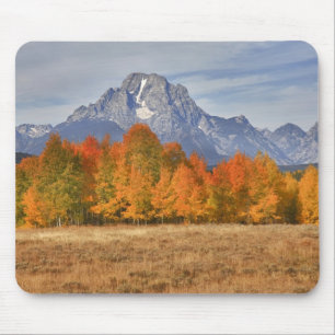 Grand Teton NP, Mount Moran and aspen trees Mouse Mat
