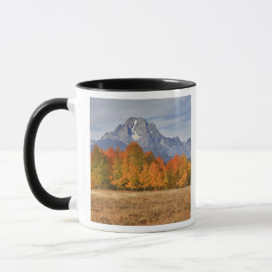 Grand Teton NP, Mount Moran and aspen trees Mug