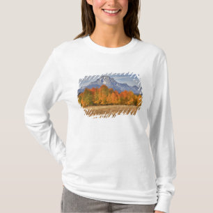 Grand Teton NP, Mount Moran and aspen trees T-Shirt