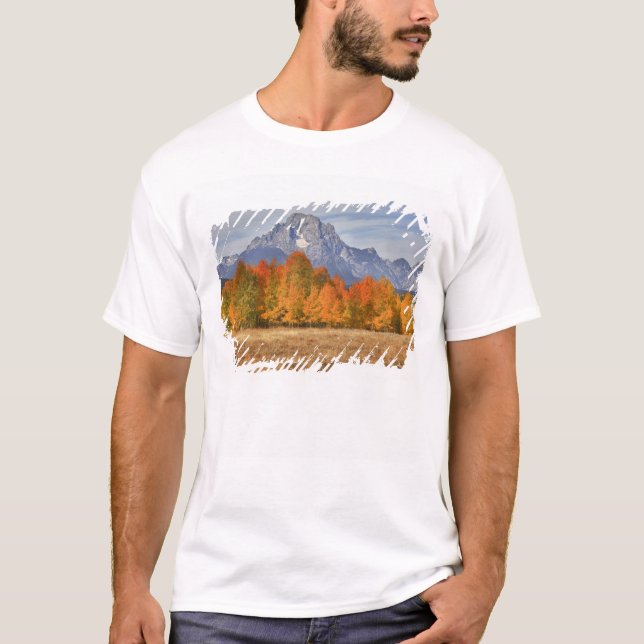 Grand Teton NP, Mount Moran and aspen trees T-Shirt (Front)