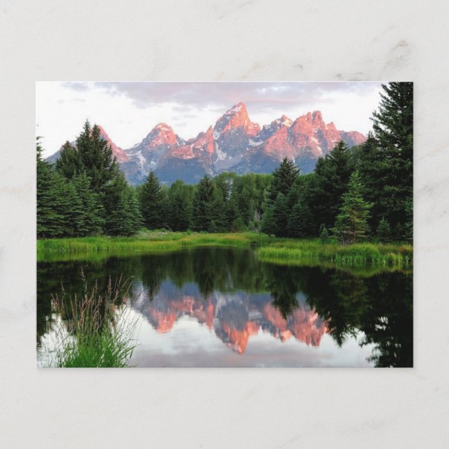 Grand Teton Reflections Over the Beaver Pond Postcard (Front)