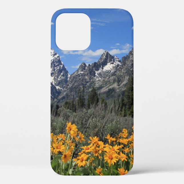 Grand Teton Springtime Souvenir Photo Case-Mate iPhone Case (Back)