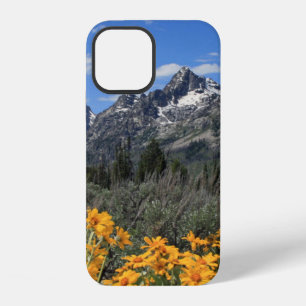 Grand Teton Springtime Souvenir Photo iPhone 12 Case