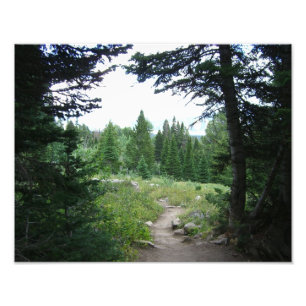 Grand Teton Trail Photo Print