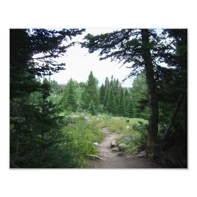 Grand Teton Trail Photo Print (Front)