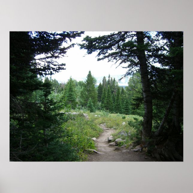 Grand Teton Trail Poster (Front)