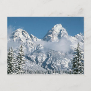 Grand Tetons in Winter Postcard