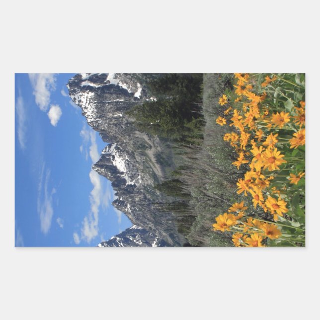 Grand Tetons with Yellow Flowers Rectangular Sticker (Front)