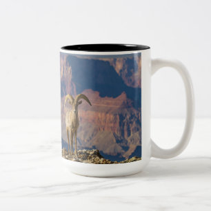 Grand View Coffee Mug