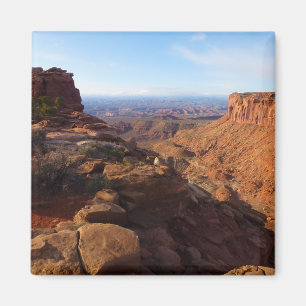 Grand View Point at Canyonlands National Park Magnet