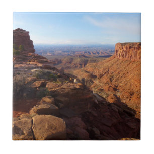 Grand View Point at Canyonlands National Park Tile