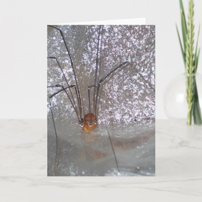 Grandaddy Longlegs Card (Front)