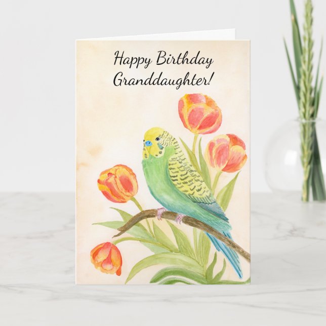 Granddaughter Happy Birthday Parakeet with Tulips Card (Front)