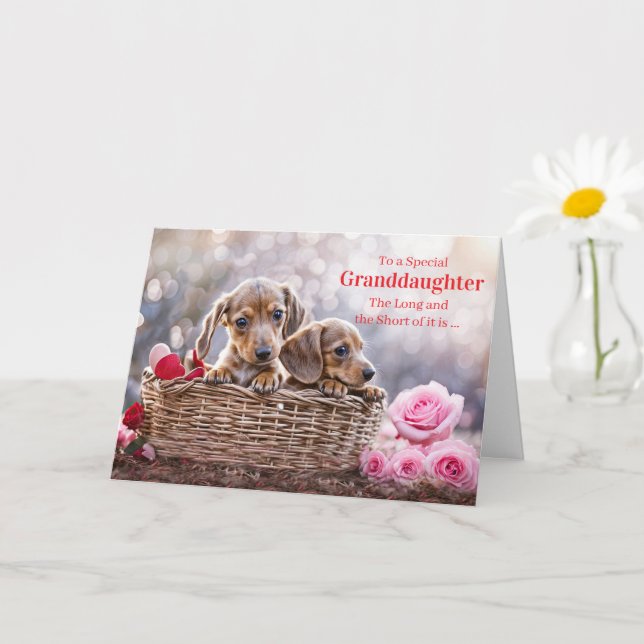 Granddaughter Happy Valentines Day Cute Puppy Dogs Card (Small Plant)