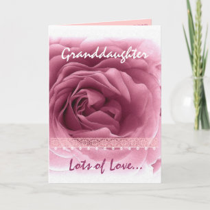 GRANDDAUGHTER Valentine's Day - Pink Rose & Lace Holiday Card