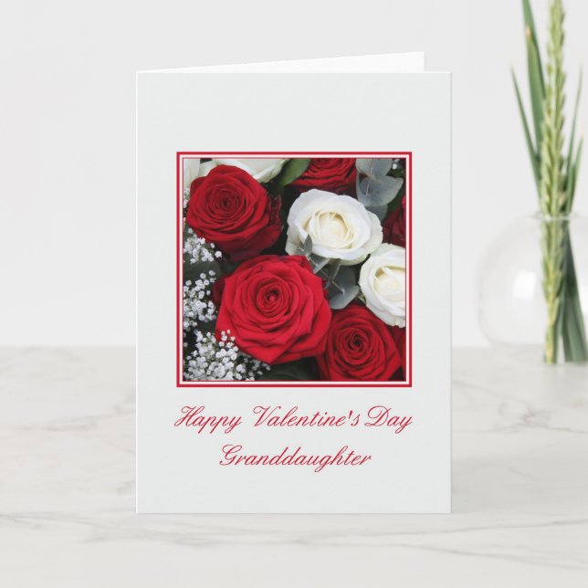 Granddaughter Valentine's Day red and white roses Holiday Card (Front)